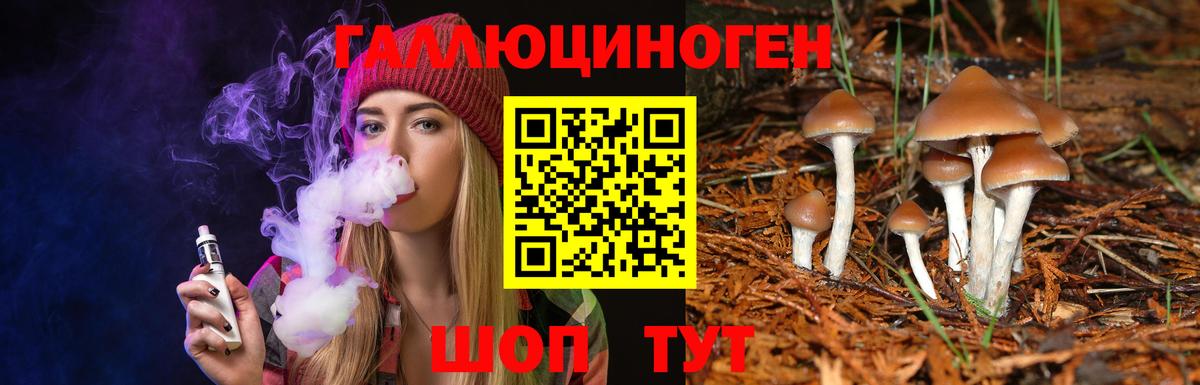 Псилоцибиновые грибы MAGIC MUSHROOMS  Псилоцибиновые грибы Magic Shrooms  Михайловка  Вход с VPN 